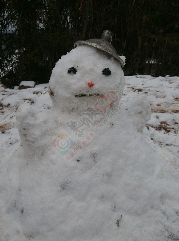在家堆雪人909 / 作者:bobwen / 帖子ID:162750