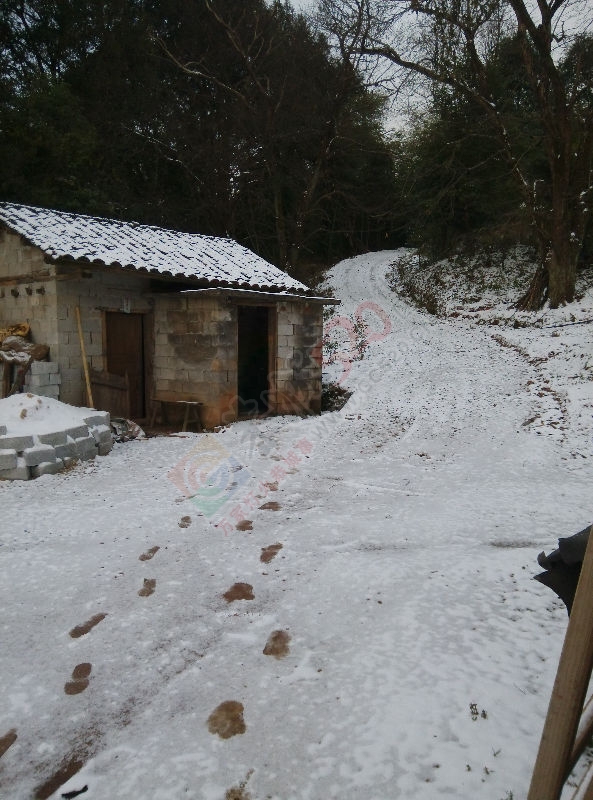 在家堆雪人830 / 作者:bobwen / 帖子ID:162750