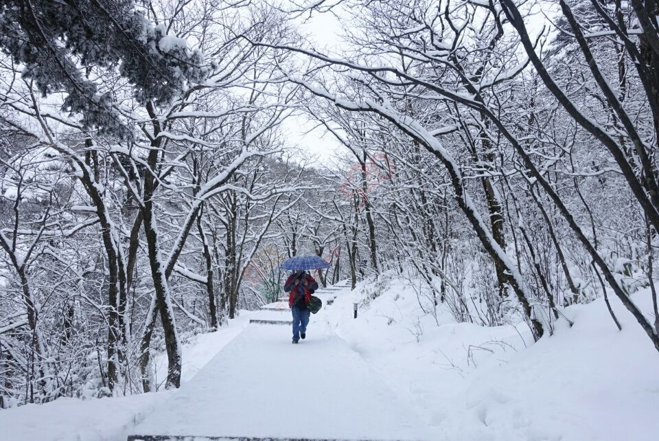 散文诗歌--等一场雪315 / 作者:茶江飞雪 / 帖子ID:162752