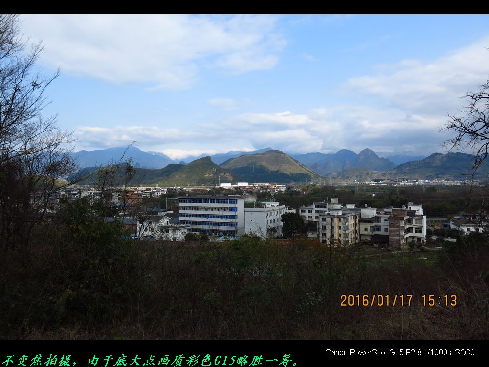 用新购佳能巨炮SX50和G15拍的图片。171 / 作者:平安大叔 / 帖子ID:162811