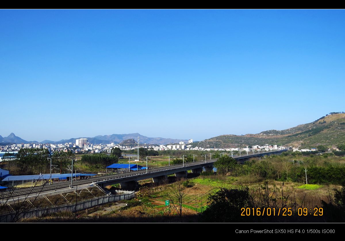 刚购入的佳能SX50试机。561 / 作者:平安大叔 / 帖子ID:162812