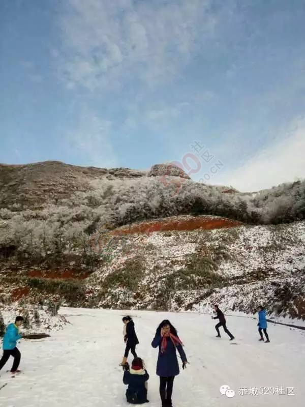 恭城下雪后，他们上了燕子山，万万没想到……298 / 作者:深秋的落叶 / 帖子ID:162839