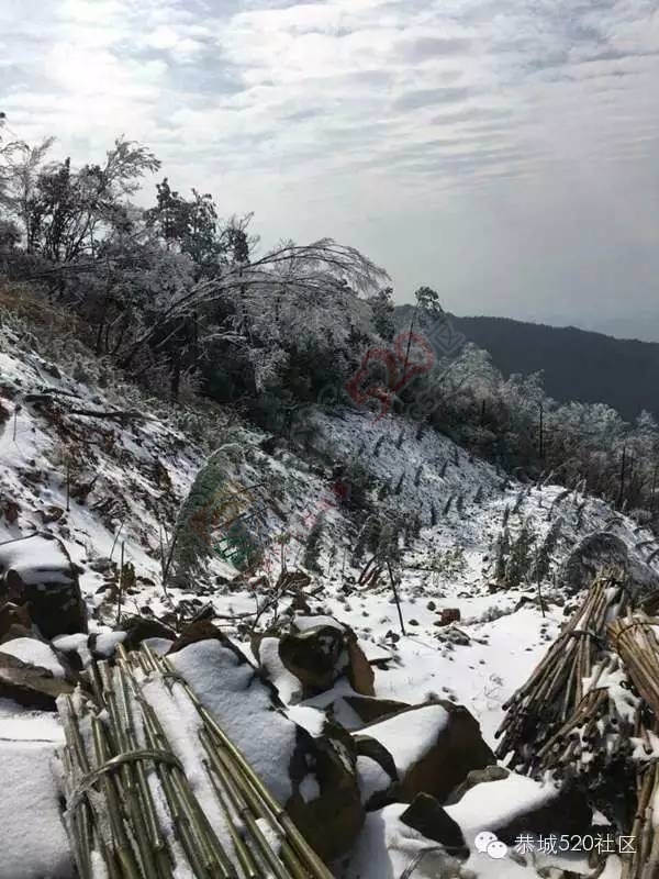 恭城下雪后，他们上了燕子山，万万没想到……664 / 作者:深秋的落叶 / 帖子ID:162839