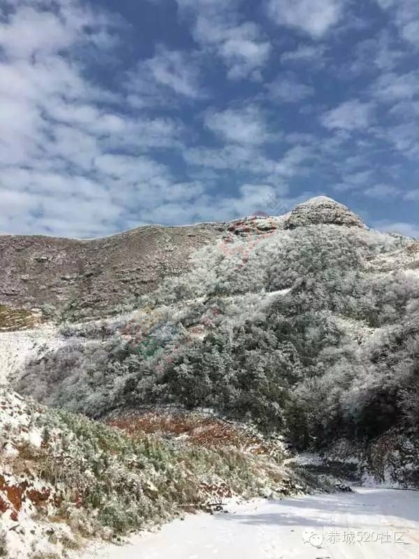 恭城下雪后，他们上了燕子山，万万没想到……831 / 作者:深秋的落叶 / 帖子ID:162839