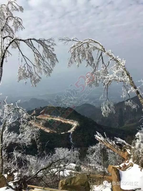 恭城下雪后，他们上了燕子山，万万没想到……680 / 作者:深秋的落叶 / 帖子ID:162839