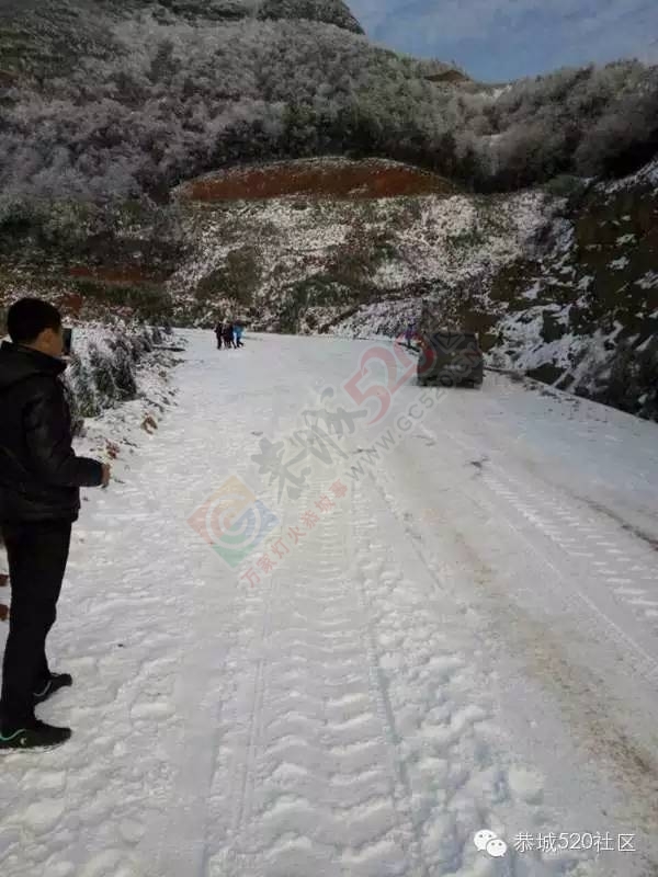 恭城下雪后，他们上了燕子山，万万没想到……833 / 作者:深秋的落叶 / 帖子ID:162839