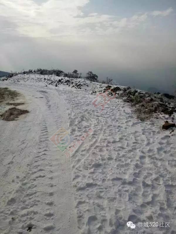 恭城下雪后，他们上了燕子山，万万没想到……367 / 作者:深秋的落叶 / 帖子ID:162839