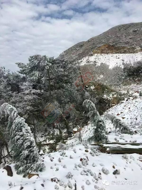 恭城下雪后，他们上了燕子山，万万没想到……46 / 作者:深秋的落叶 / 帖子ID:162839