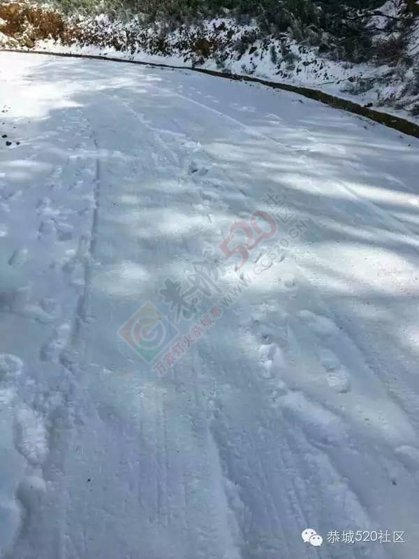 恭城下雪后，他们上了燕子山，万万没想到……924 / 作者:深秋的落叶 / 帖子ID:162839