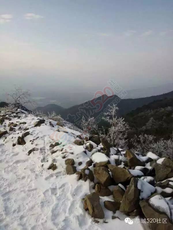 恭城下雪后，他们上了燕子山，万万没想到……349 / 作者:深秋的落叶 / 帖子ID:162839