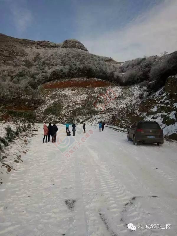 恭城下雪后，他们上了燕子山，万万没想到……948 / 作者:深秋的落叶 / 帖子ID:162839