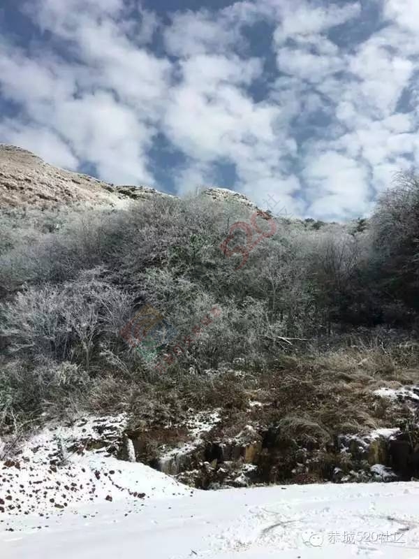 恭城下雪后，他们上了燕子山，万万没想到……606 / 作者:深秋的落叶 / 帖子ID:162839