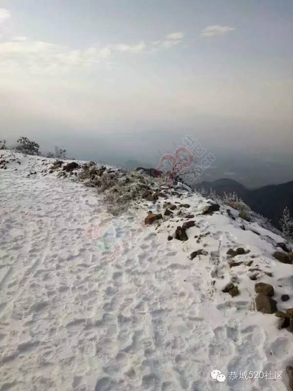 恭城下雪后，他们上了燕子山，万万没想到……264 / 作者:深秋的落叶 / 帖子ID:162839
