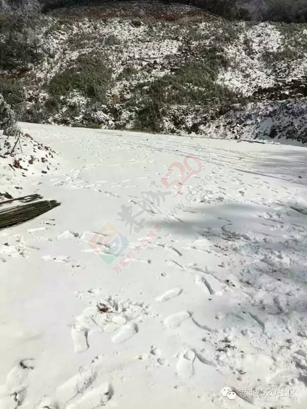 恭城下雪后，他们上了燕子山，万万没想到……99 / 作者:深秋的落叶 / 帖子ID:162839