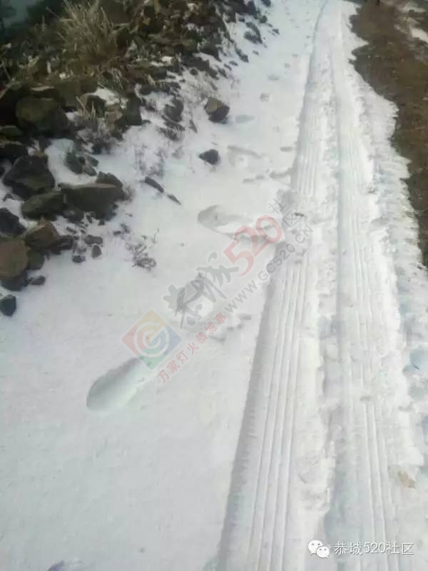恭城下雪后，他们上了燕子山，万万没想到……640 / 作者:深秋的落叶 / 帖子ID:162839