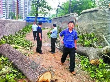 广西两男子为做棺材合谋盗杉树13株 获刑5个月248 / 作者:该做的事情 / 帖子ID:162958