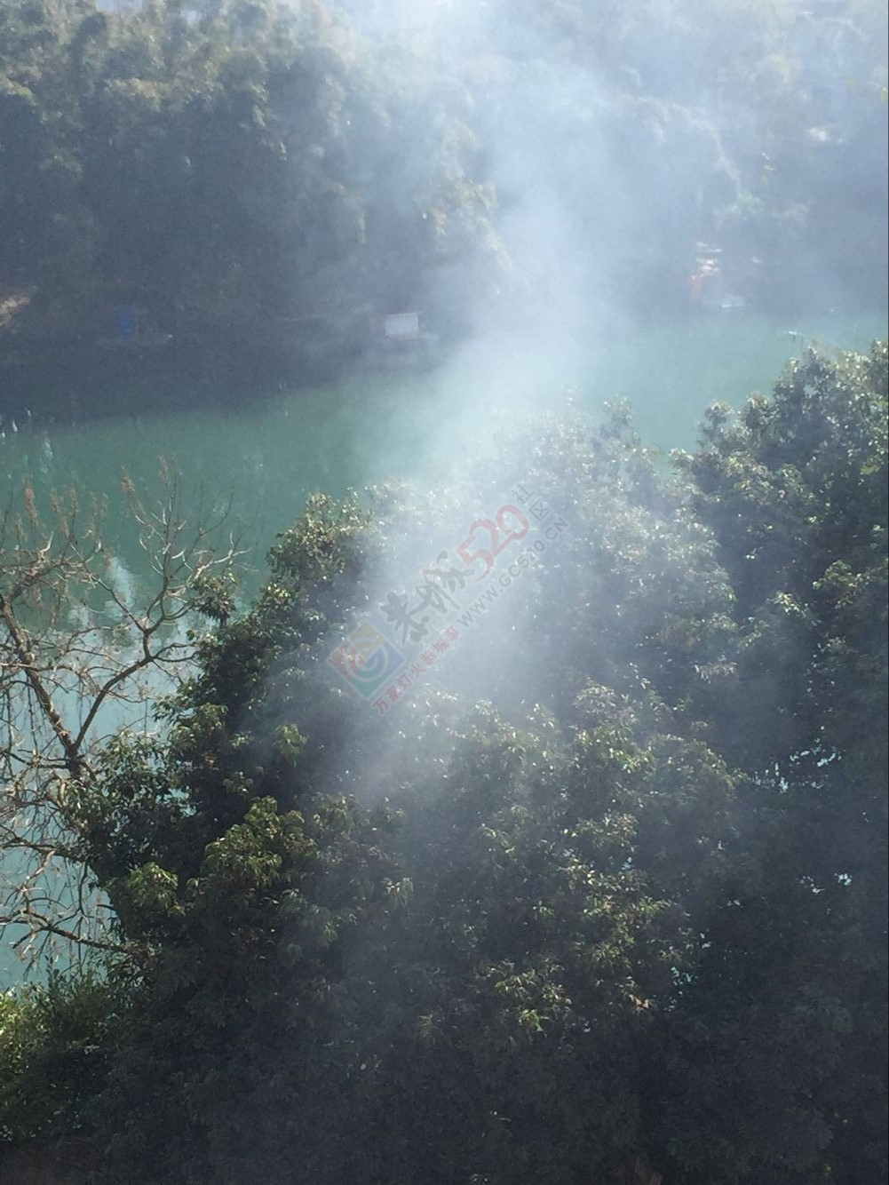 环卫工人小区下点火焚烧垃圾，恶臭满天298 / 作者:地道 / 帖子ID:163182