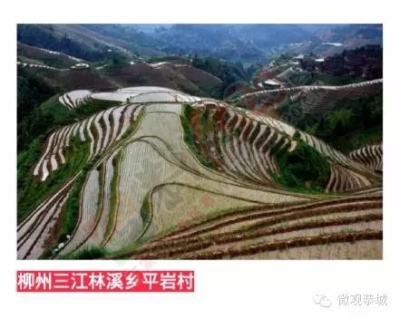 全国美丽宜居小镇和村庄第三批名单出炉，恭城莲花竹山村上榜！682 / 作者:脚踏实地 / 帖子ID:163376