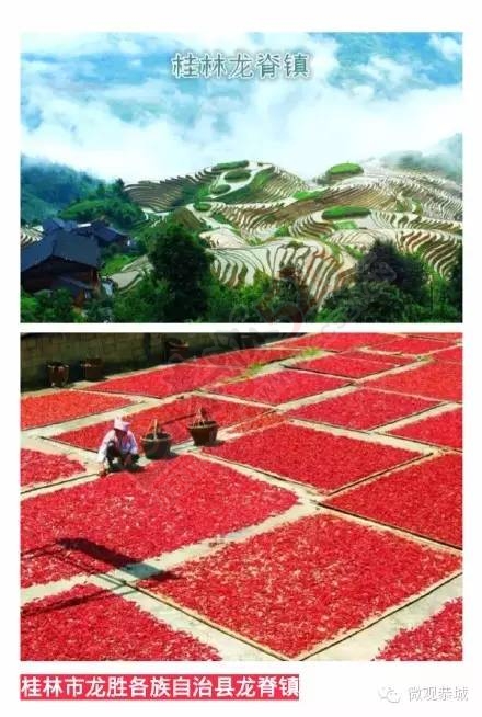 全国美丽宜居小镇和村庄第三批名单出炉，恭城莲花竹山村上榜！405 / 作者:脚踏实地 / 帖子ID:163376