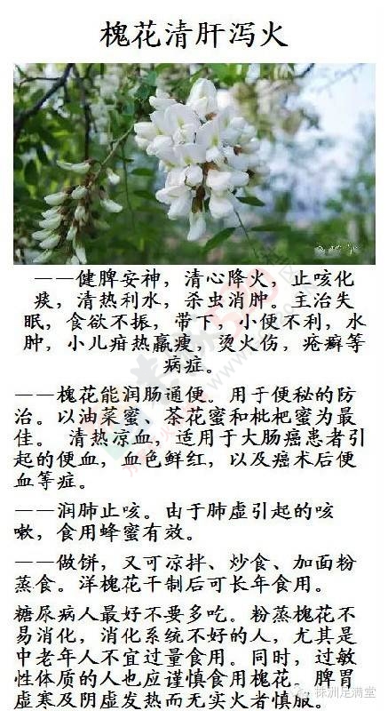 一种野菜治一种病727 / 作者:人艰不拆 / 帖子ID:163421