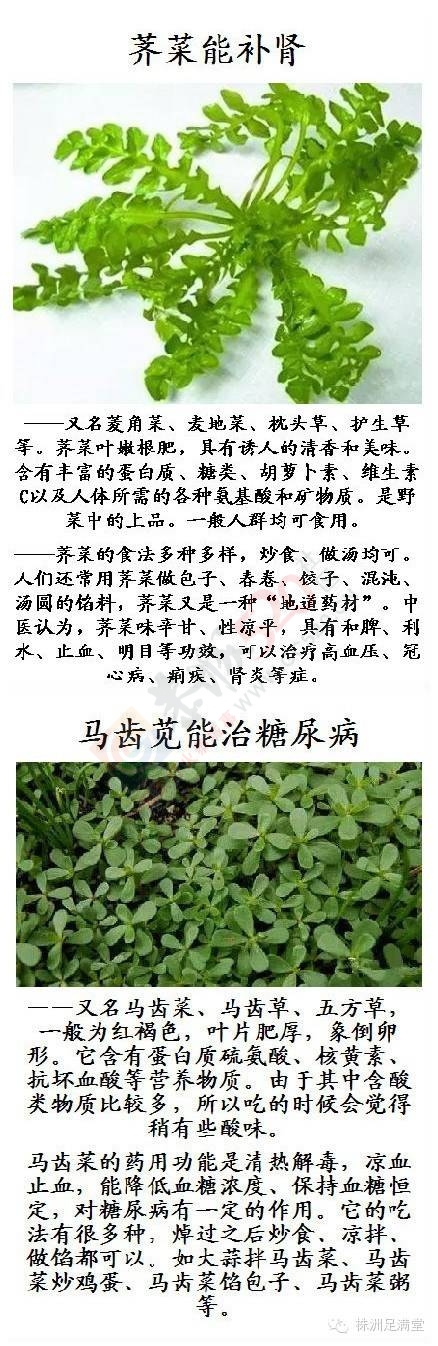 一种野菜治一种病283 / 作者:人艰不拆 / 帖子ID:163421
