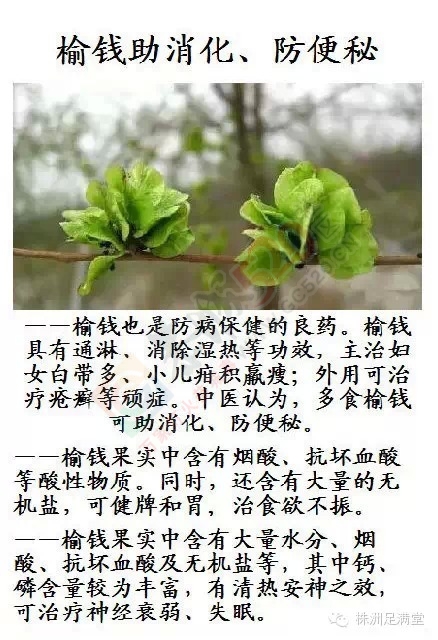 一种野菜治一种病940 / 作者:人艰不拆 / 帖子ID:163421