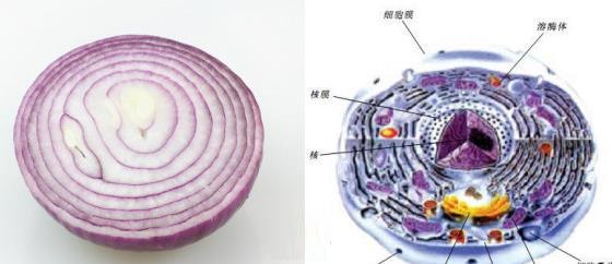 李时珍告诉你怎么不得病530 / 作者:人艰不拆 / 帖子ID:163670