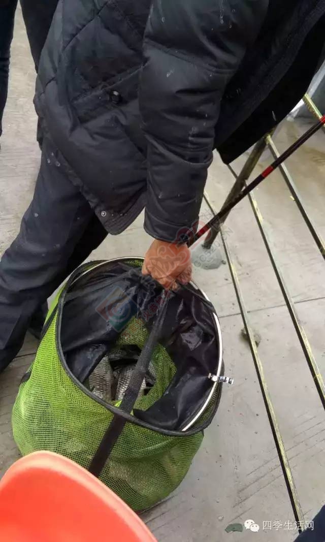 自助休闲垂钓农庄398 / 作者:看清所以看轻 / 帖子ID:163719
