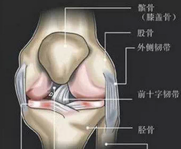 膝盖骨痛有救了，家有腰腿疼痛的人，记得存起来.157 / 作者:人艰不拆 / 帖子ID:163767