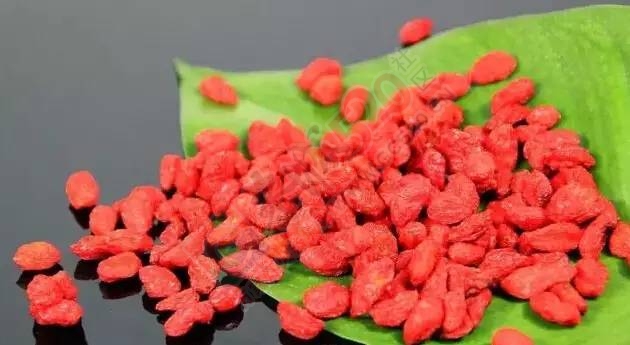 枸杞的第一标签不是补肾，而是....923 / 作者:人艰不拆 / 帖子ID:163768