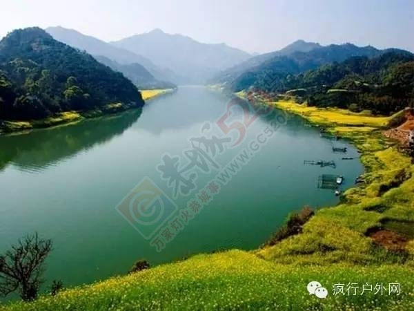 痴绝徽州，梦断江南， 新安江山水画廊赏油菜花897 / 作者:喜欢装点糊涂 / 帖子ID:163838