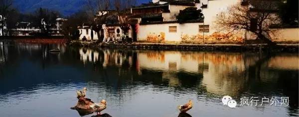痴绝徽州，梦断江南， 新安江山水画廊赏油菜花281 / 作者:喜欢装点糊涂 / 帖子ID:163838