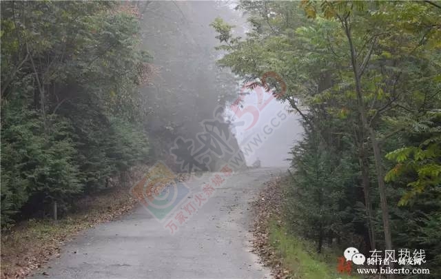 骑行老母荒-白马山59 / 作者:喜欢装点糊涂 / 帖子ID:163839