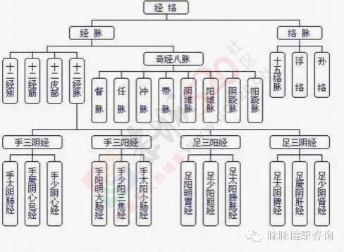 原来经络是管这个的！933 / 作者:人艰不拆 / 帖子ID:163842
