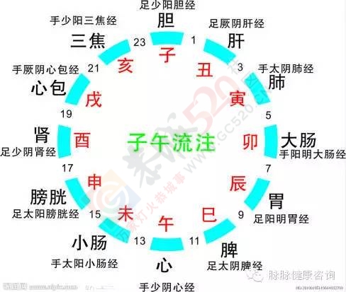 原来经络是管这个的！510 / 作者:人艰不拆 / 帖子ID:163842