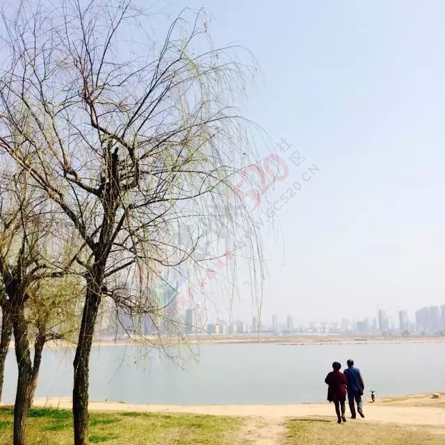 看图说话57 / 作者:刘拍拍 / 帖子ID:164432