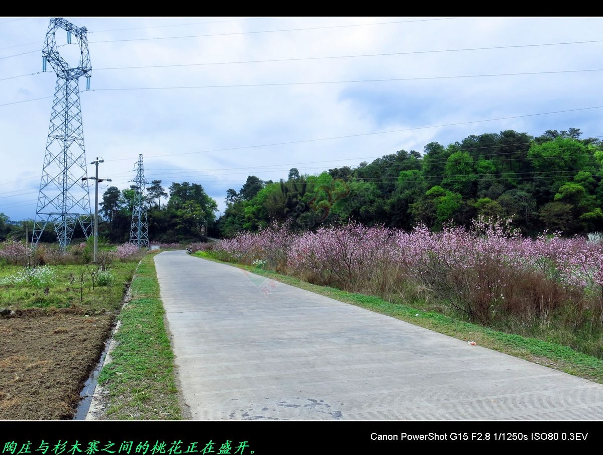赏桃花、游山水，重温儿时旧梦。776 / 作者:平安大叔 / 帖子ID:164868