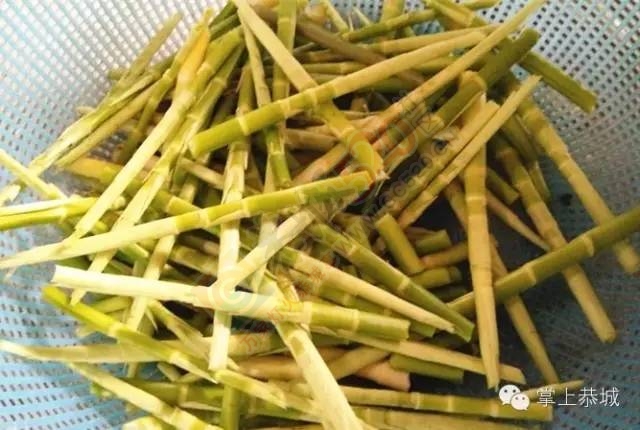 【恭城味道】一盘足以让恭城人想家的竹笋炒腊肉50 / 作者:刘拍拍 / 帖子ID:165120
