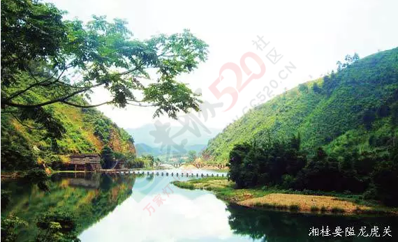 龙虎乡：精雕细琢“魅力旅游小镇”875 / 作者:今日恭城 / 帖子ID:165165
