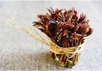 你吃过恭城的这几种野菜吗？235 / 作者:罗马的天空 / 帖子ID:167977