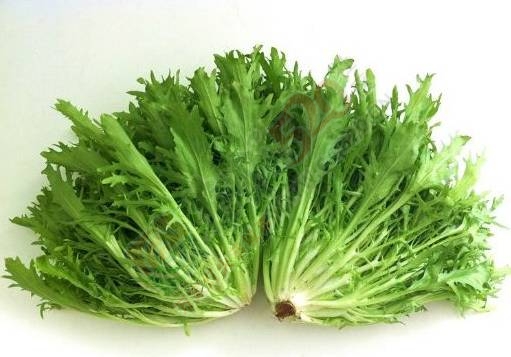 你吃过恭城的这几种野菜吗？499 / 作者:罗马的天空 / 帖子ID:167977