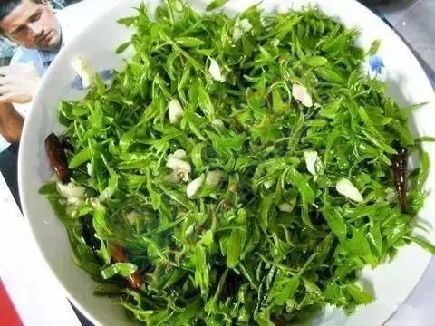 你吃过恭城的这几种野菜吗？480 / 作者:罗马的天空 / 帖子ID:167977