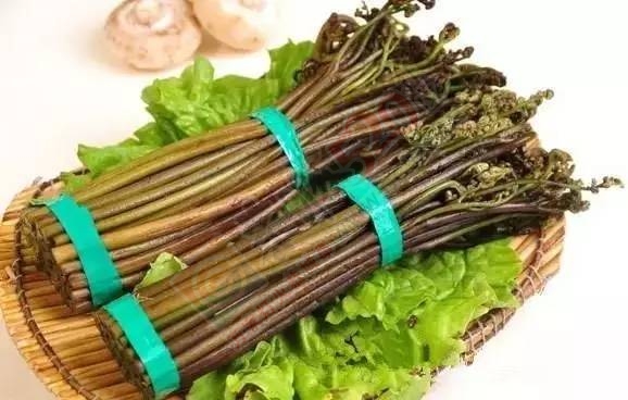 你吃过恭城的这几种野菜吗？197 / 作者:罗马的天空 / 帖子ID:167977
