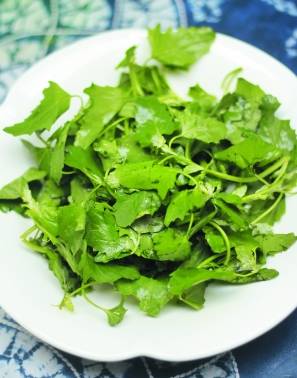 你吃过恭城的这几种野菜吗？899 / 作者:罗马的天空 / 帖子ID:167977