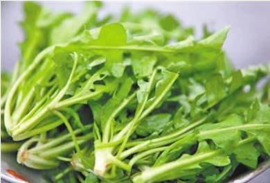 你吃过恭城的这几种野菜吗？647 / 作者:罗马的天空 / 帖子ID:167977