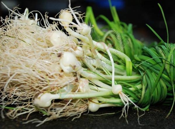 你吃过恭城的这几种野菜吗？263 / 作者:罗马的天空 / 帖子ID:167977