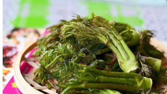 你吃过恭城的这几种野菜吗？196 / 作者:罗马的天空 / 帖子ID:167977