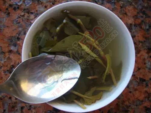 天哪！吃多了鱼腥草会变成这样，99%的恭城人还呗晓得！847 / 作者:今日恭城 / 帖子ID:168934