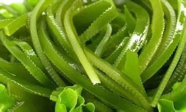 吃前加点醋，营养又美味！740 / 作者:喜欢装点糊涂 / 帖子ID:169293