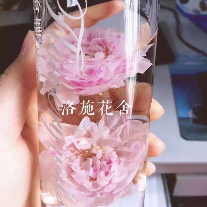 一朵水中绽放的玫瑰915 / 作者:花茶猴妈 / 帖子ID:172549